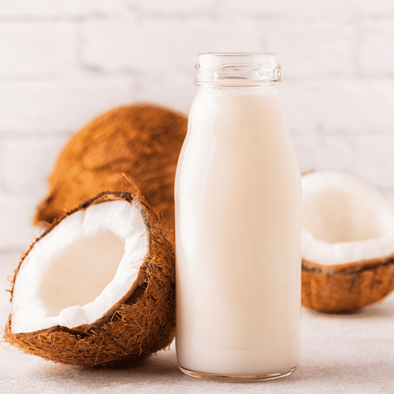 Can Dogs Drink PlantBased Milk? (Each Variety Explained
