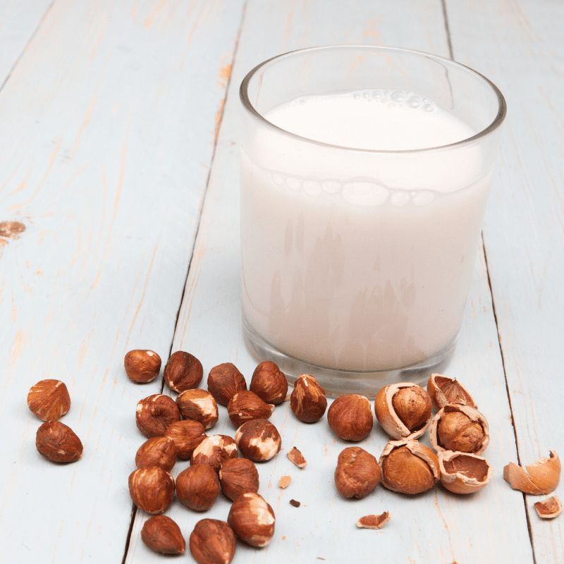 Can Dogs Drink PlantBased Milk? (Each Variety Explained