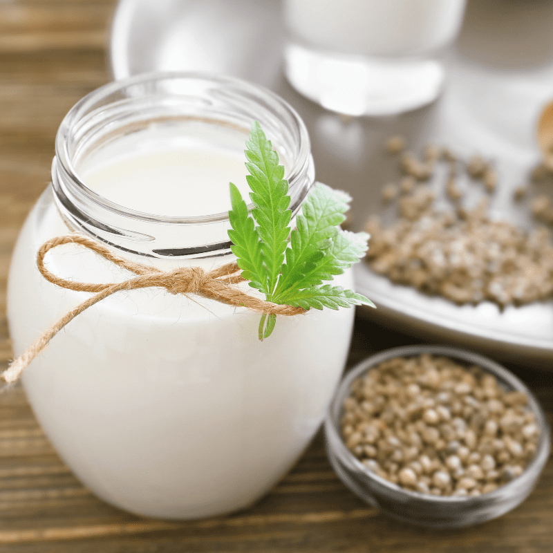 Can Dogs Drink PlantBased Milk? (Each Variety Explained