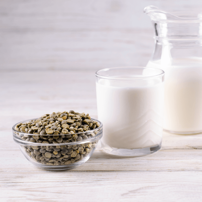 Can Dogs Drink PlantBased Milk? (Each Variety Explained