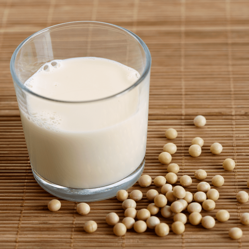 PlantBased Milk for Dogs What You Need to Know Dog Friendly Scene