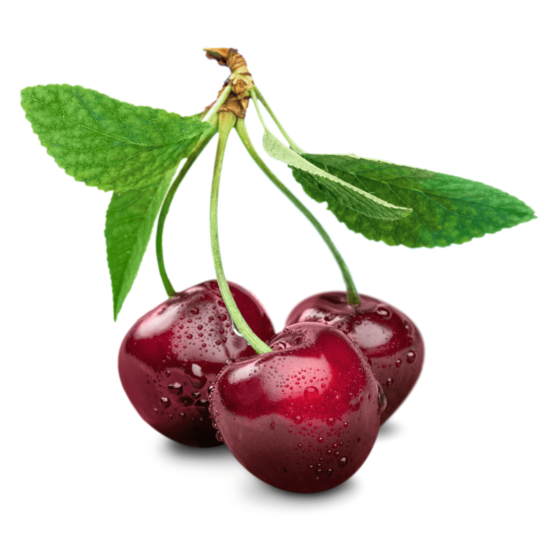 Cherries Dog Friendly at Jacqueline Demaio blog