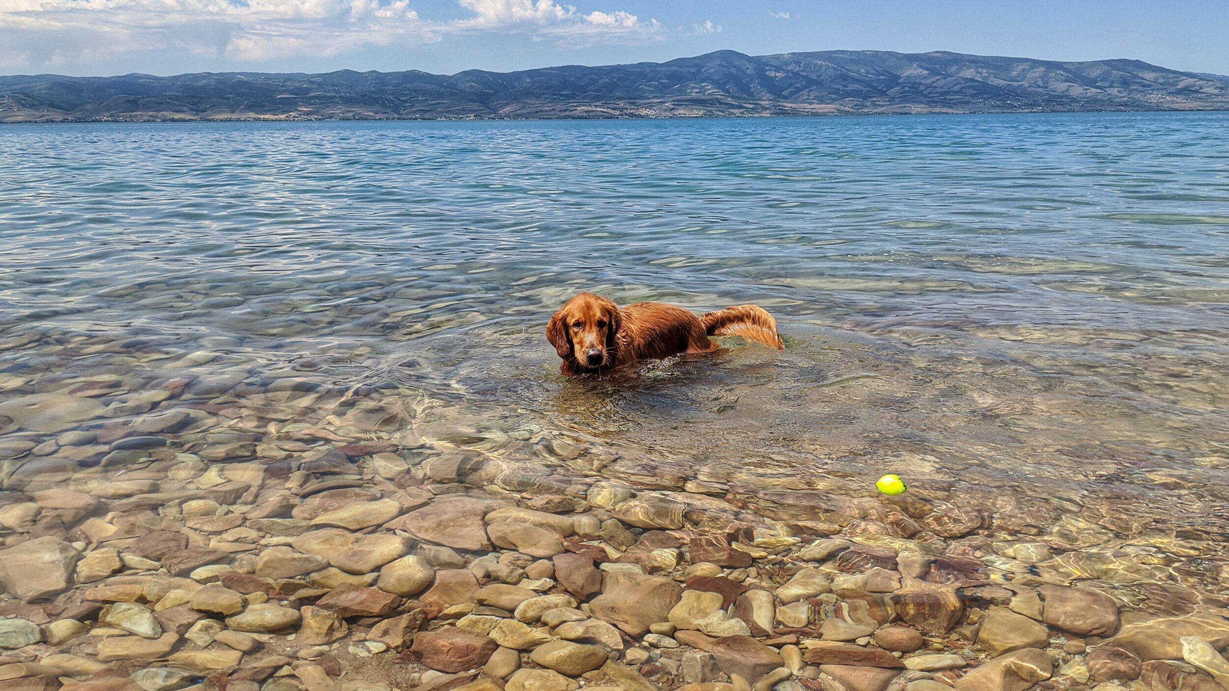 Dog Friendly Lakes And Reservoirs Near Salt Lake City Dog Friendly SLC