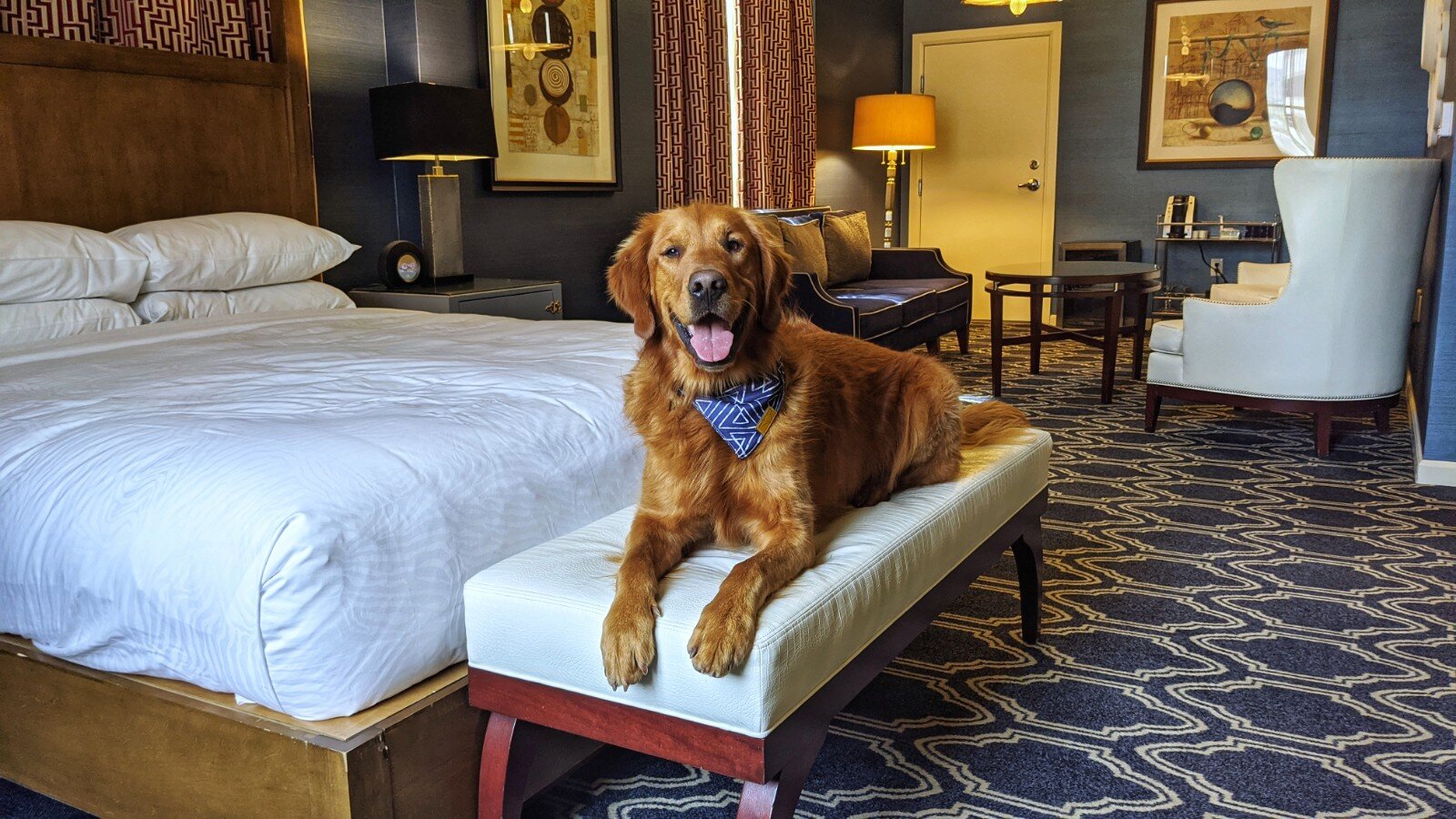 Dog Friendly Hotels in Salt Lake City Dog Friendly SLC(04)