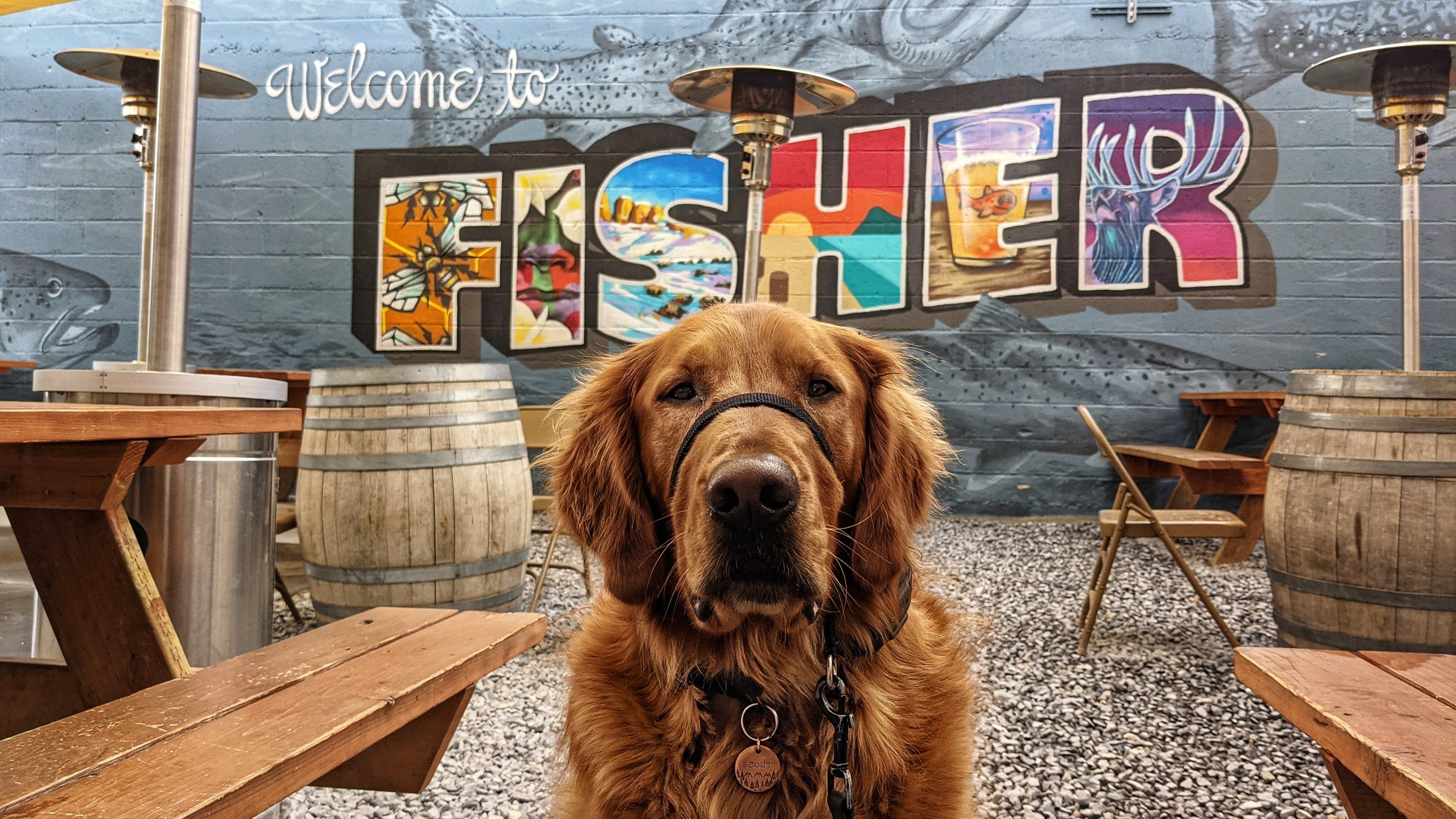7 Dog Friendly Heated Patios to Take Advantage of in SLC Dog Friendly SLC