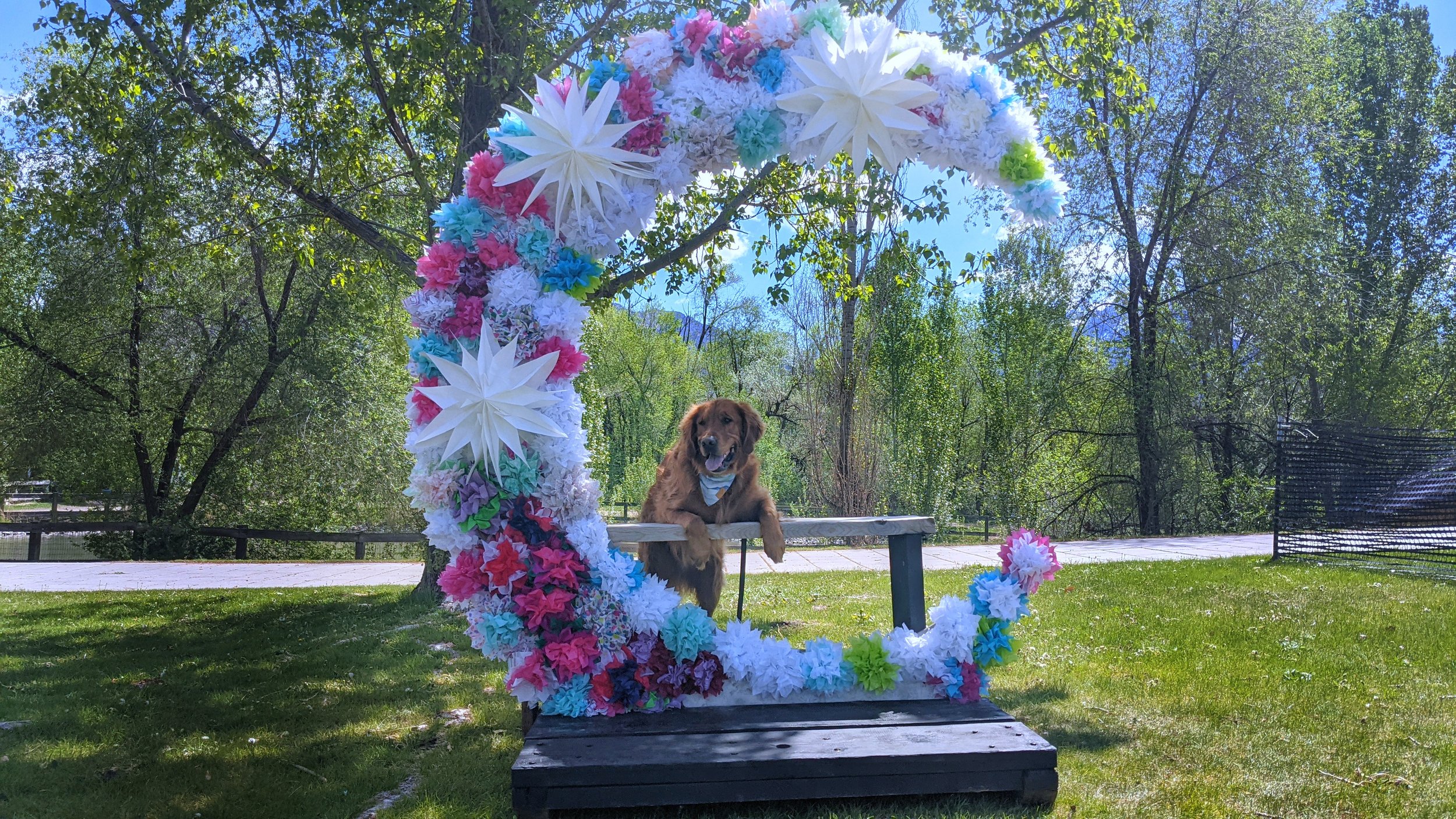 Wheeler Historic Farm Dog Mother’s Day SOLD OUT Dog Friendly SLC