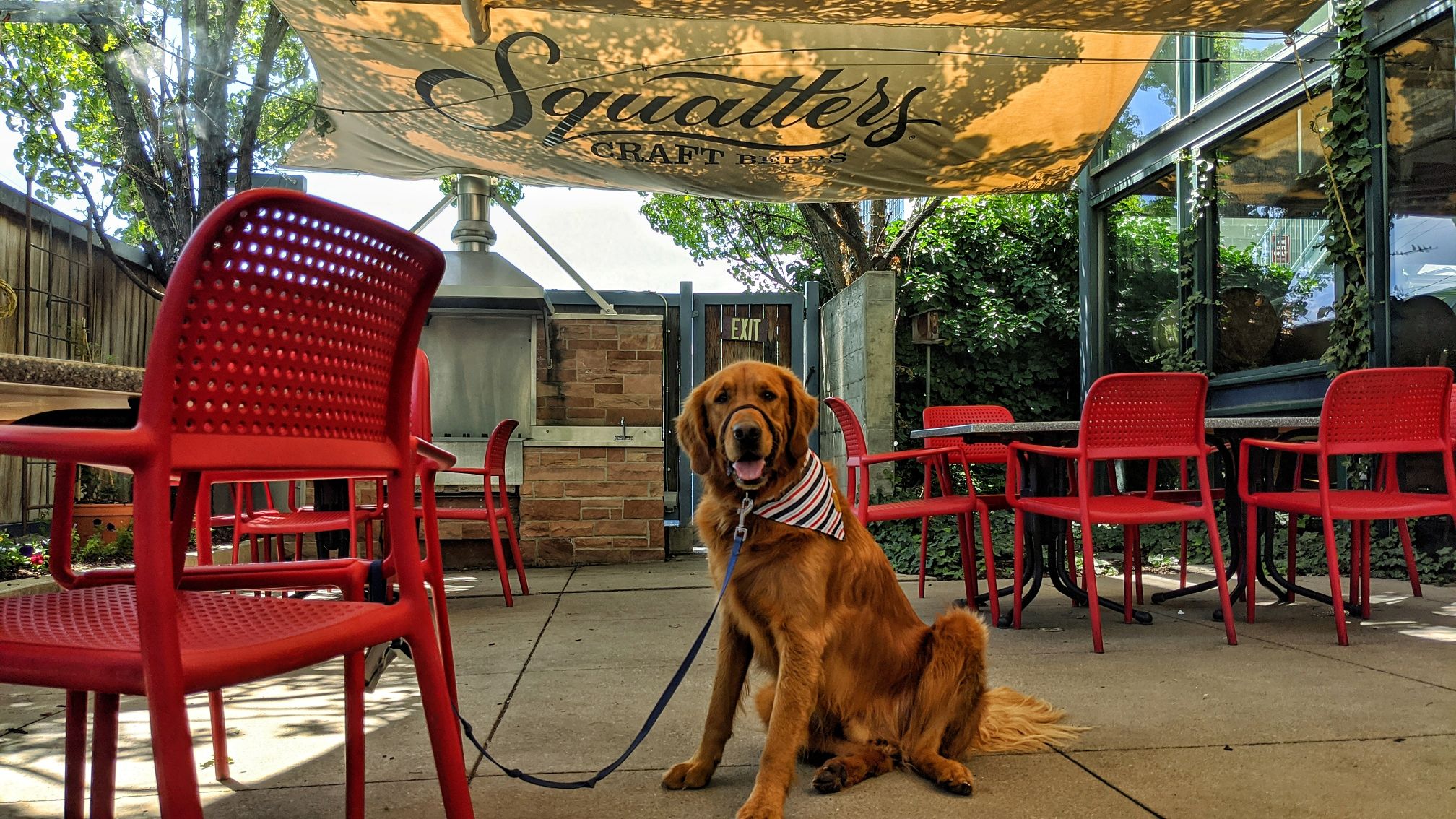 Squatters Roadhouse Grill Dog Friendly SLC