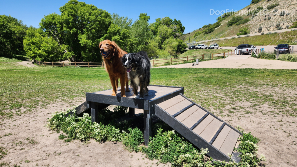 Dog Park Guide Rotary Glen Dog Park Dog Friendly SLC