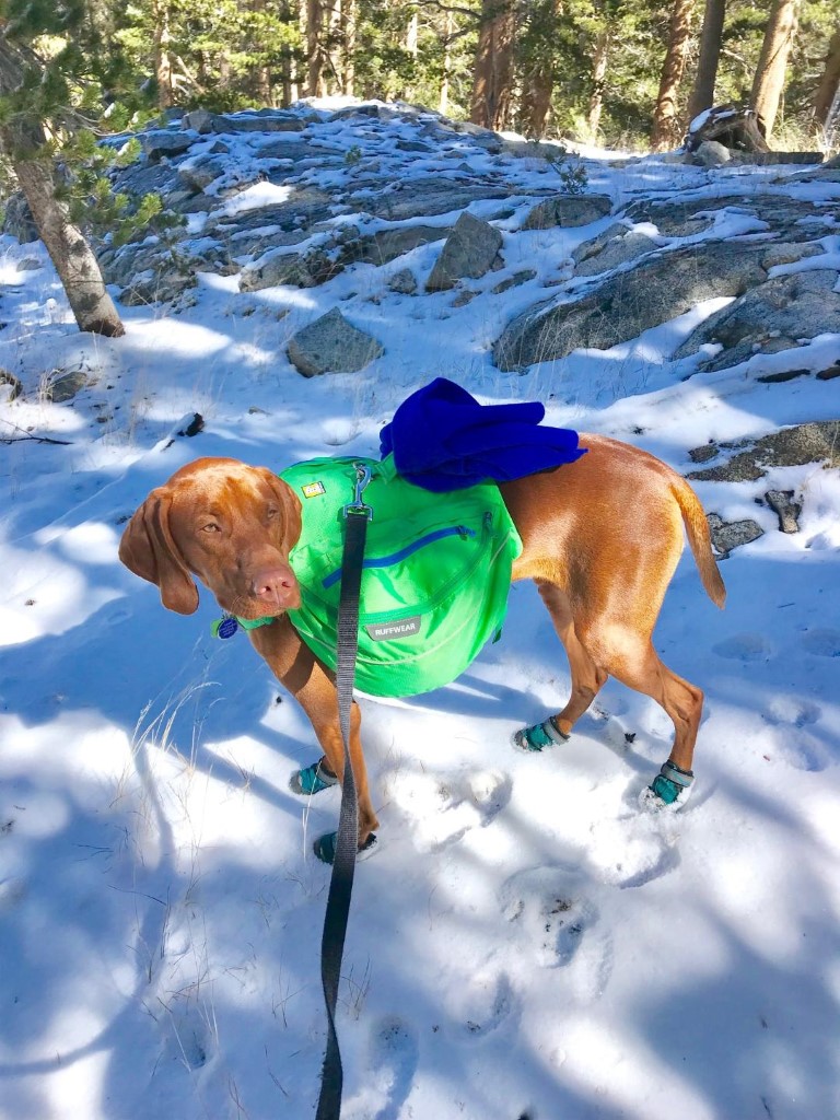 Brainerd LakeFinger Lake via Big Pine Creek South Fork Trail Dog