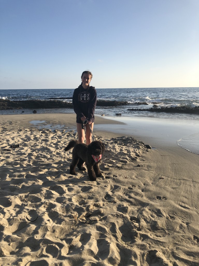 Treasure Island Beach Dog Friendly SoCal