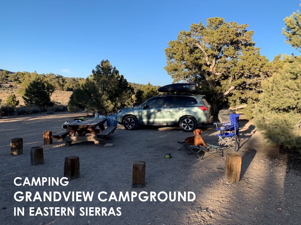 Grandview Campground Dog Friendly SoCal