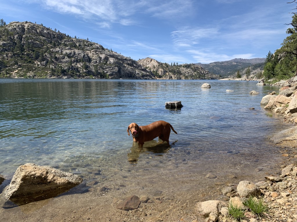 Kennedy Meadows to Relief Reservoir Backpack Dog Friendly SoCal