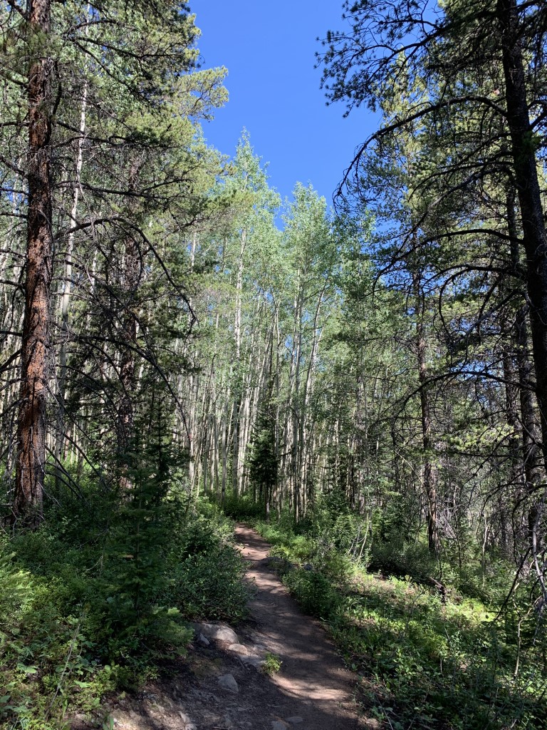 Green Lake Dog Friendly SoCal