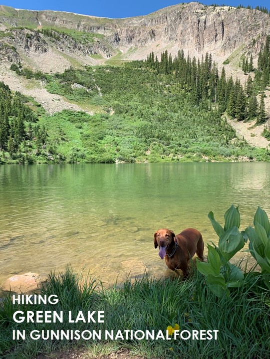 Green Lake Dog Friendly SoCal