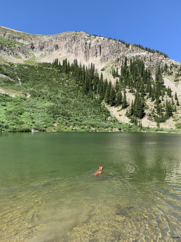 Green Lake Dog Friendly SoCal