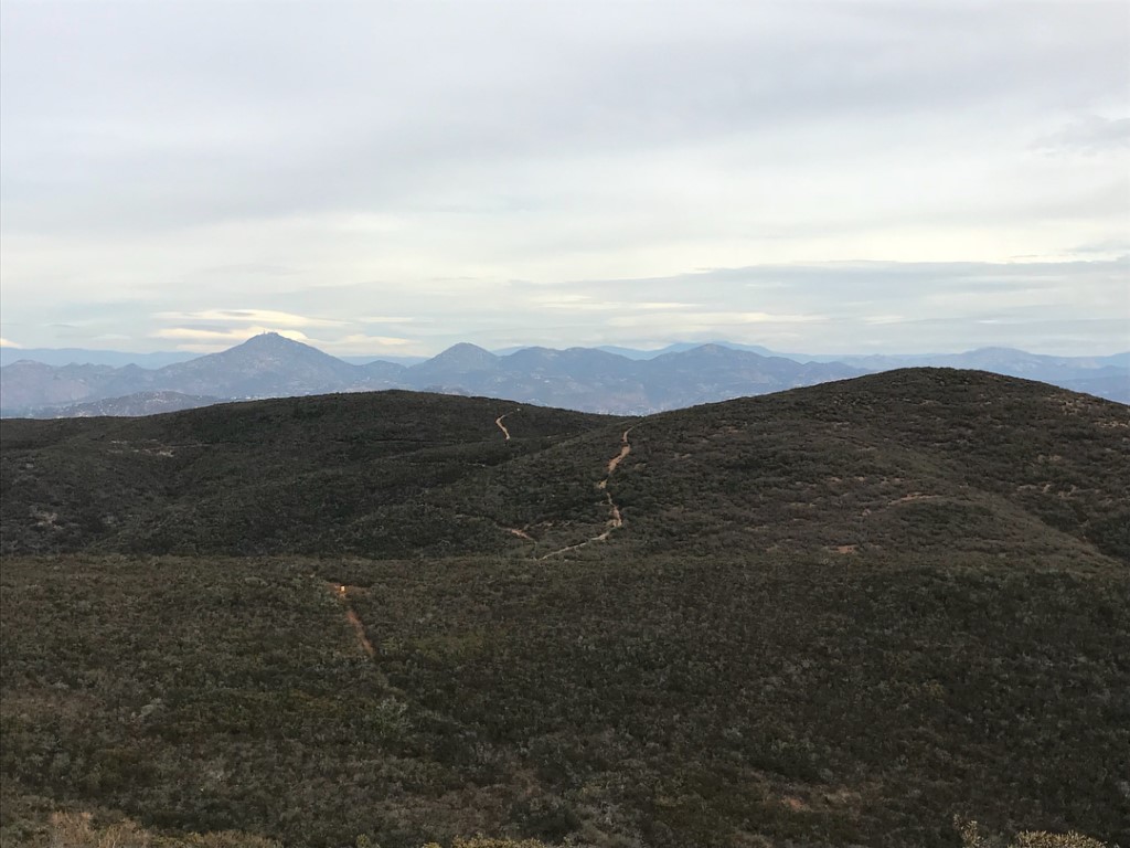 Black Mountain via Nighthawk Trail Dog Friendly SoCal