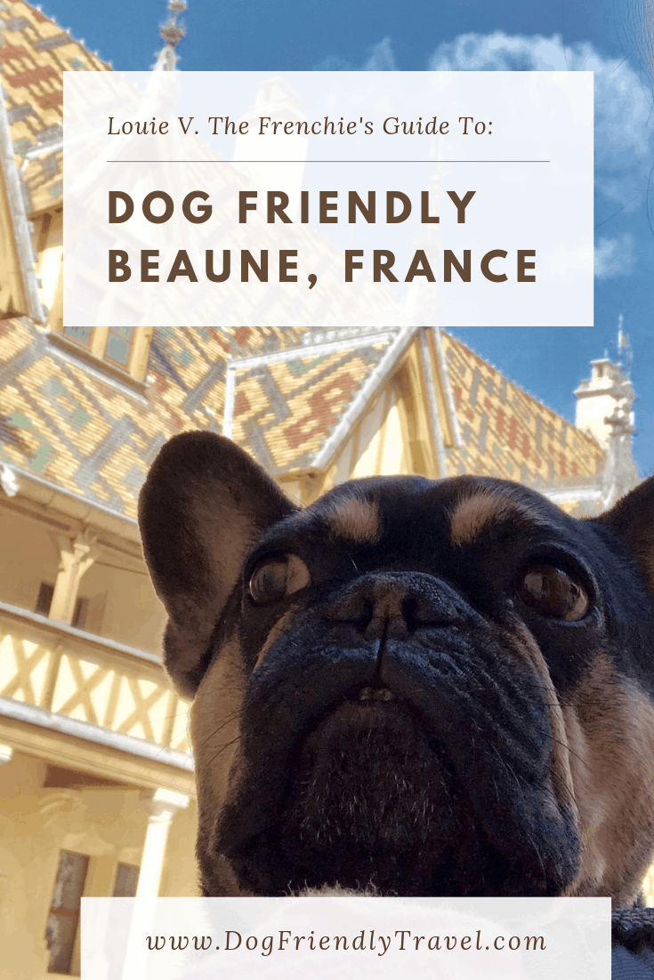 Dog Friendly Beaune, France DOG FRIENDLY TRAVEL