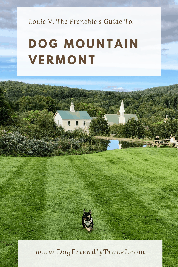 Dog Mountain, Vermont DOG FRIENDLY TRAVEL, Dog Friendly Travel