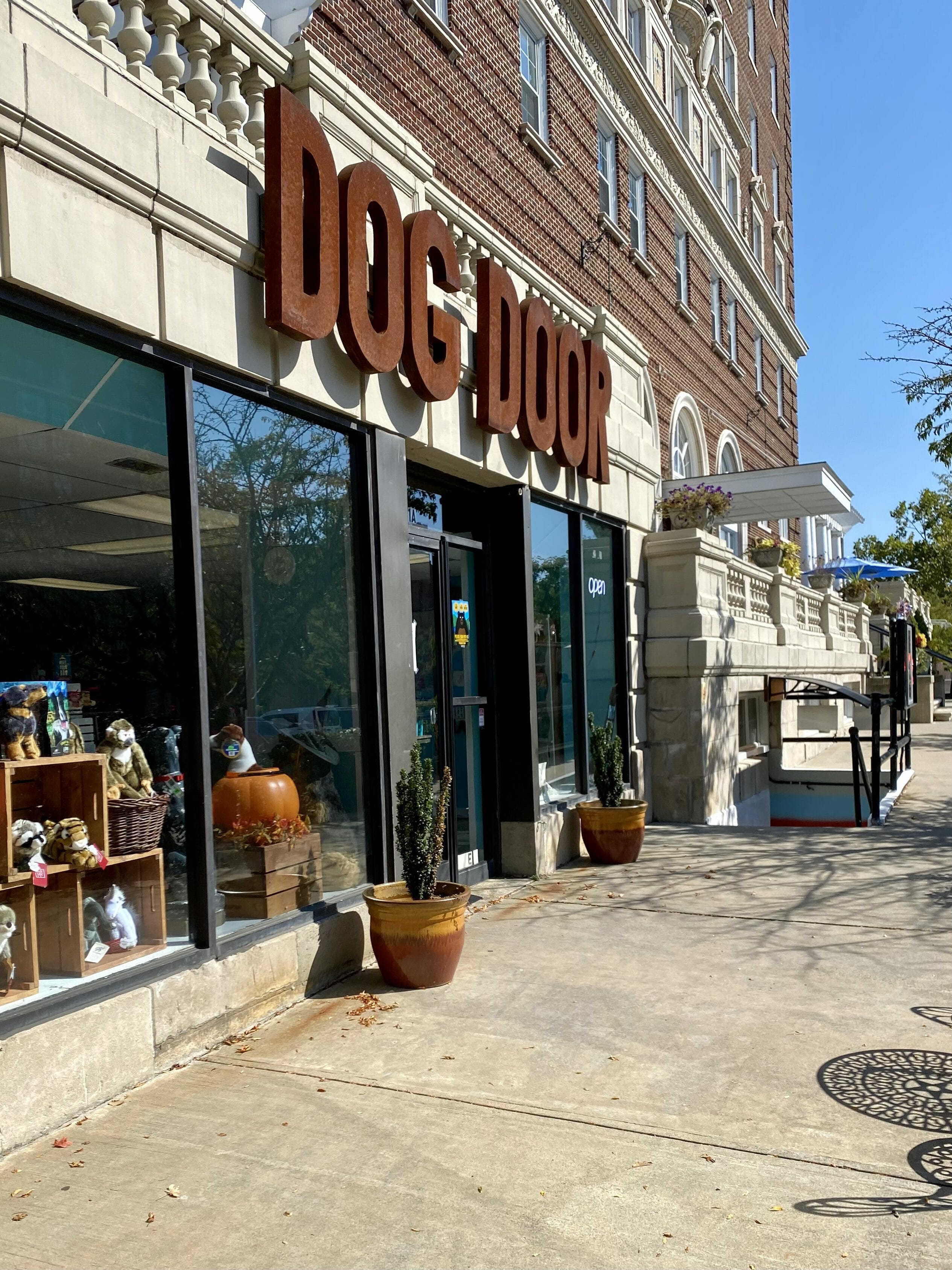 Why Asheville NC is Dog City USA DOG FRIENDLY TRAVEL