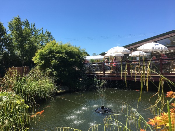 Bow Garden & Aquatic Centre Dog Furiendly