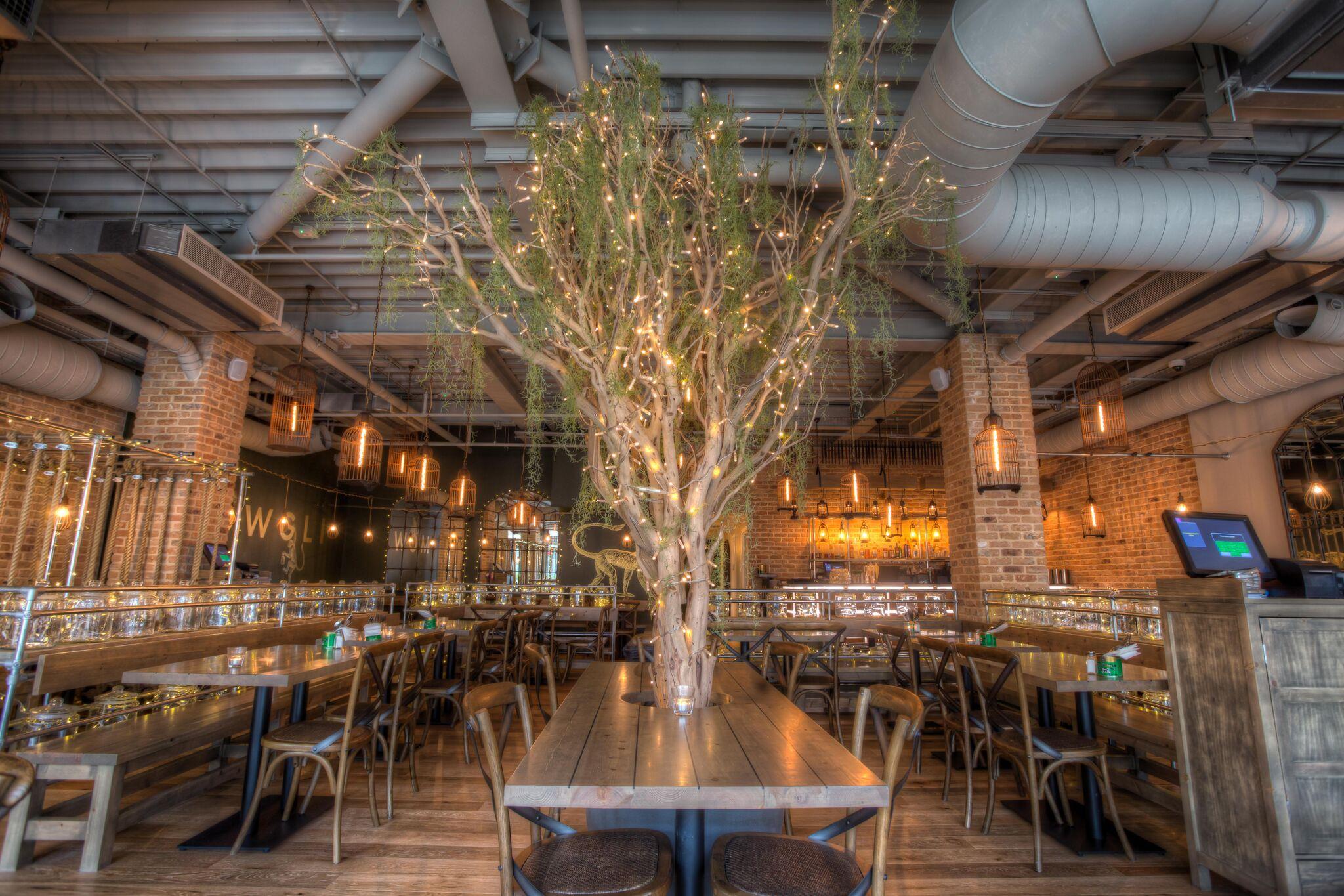 Mowgli Street Food Oxford Dog Furiendly