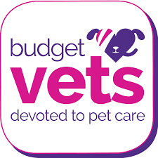 Budget Vets, Bridgend - Dog Furiendly