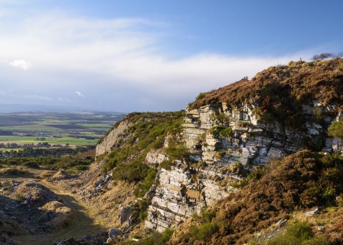 Auchterhouse Hill Dog Furiendly