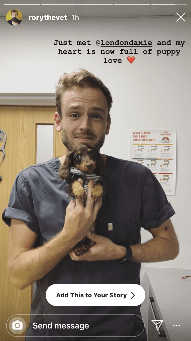 The Neighbourhood Vet Dog Furiendly