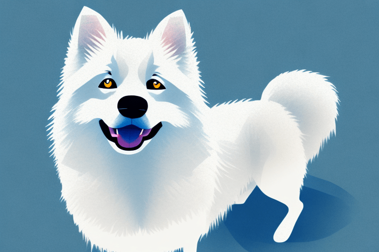 How Long Do American Eskimo Dogs Live?