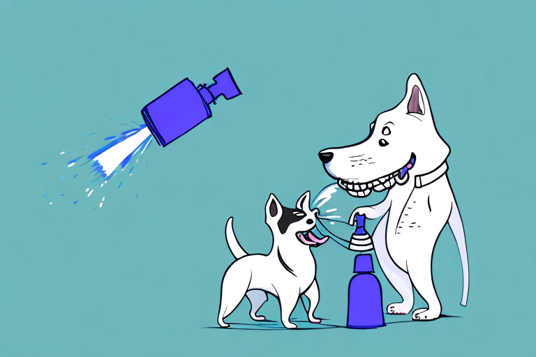 What To Do When Dog Gets Skunked