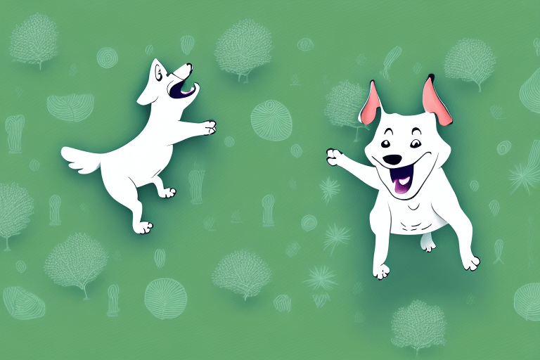 Discover the Best Dog Parks in Chicago