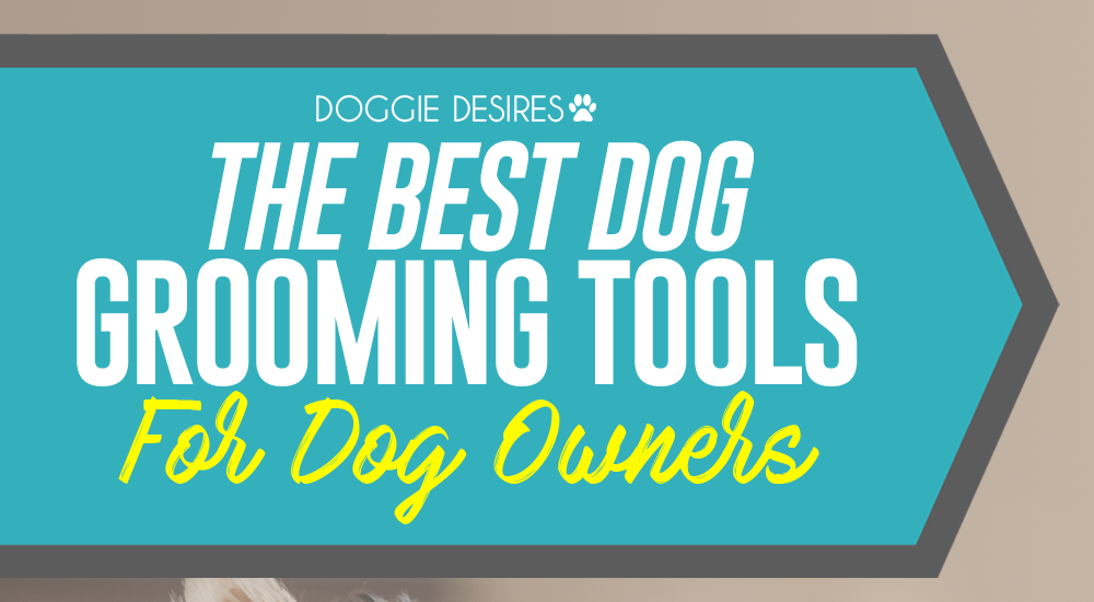 The Best Dog Grooming Tools For Dog Owners Out There