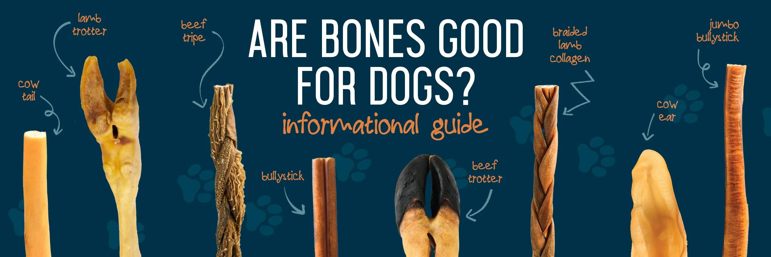 Are Bones Good For Dogs? Dogginstix