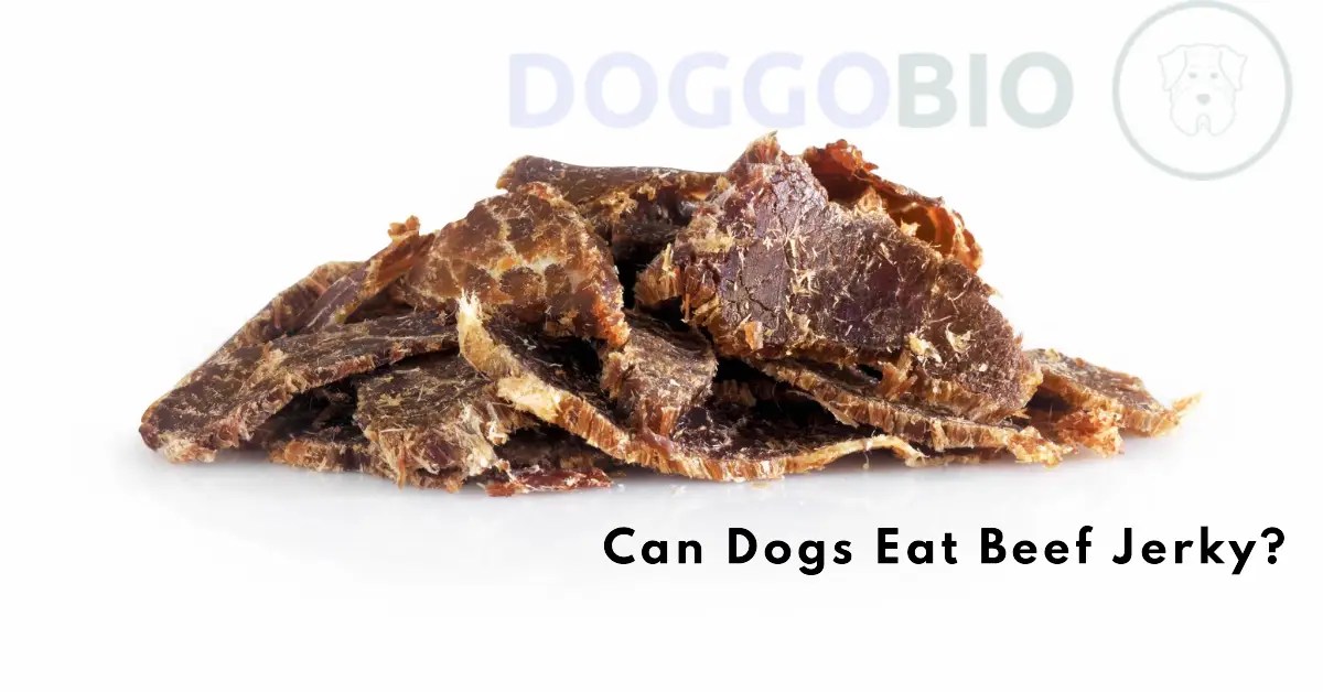 Can Dogs Eat Beef Jerky? Guidelines For Healthy Treats 2024