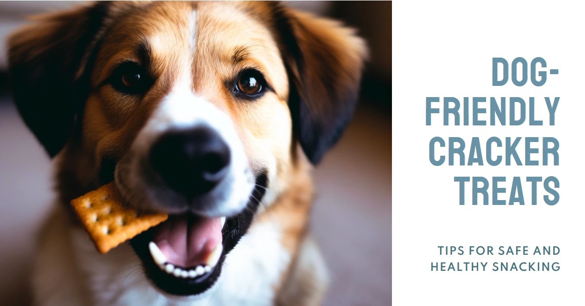 Can Dogs Eat Animal Crackers? Risk, Benefit & Safe Treat 2024
