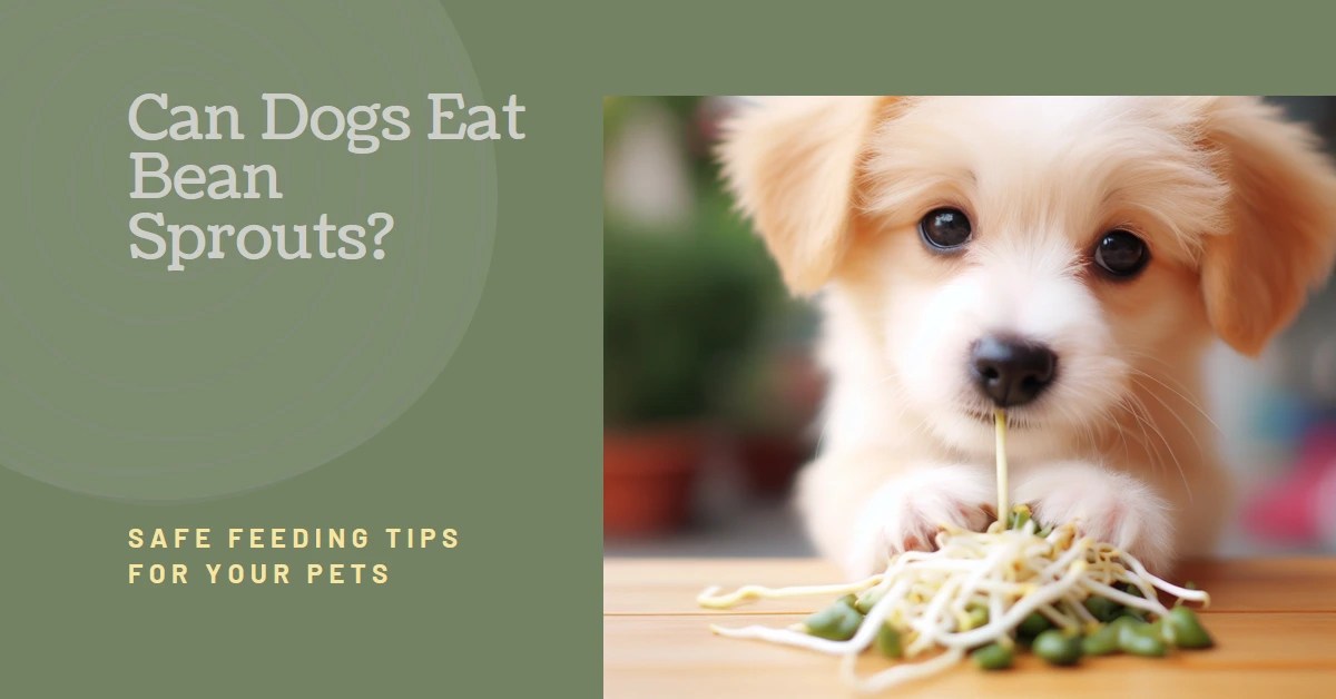 Can Dogs Eat Bean Sprouts? Safe Feeding Tips For Your Pets