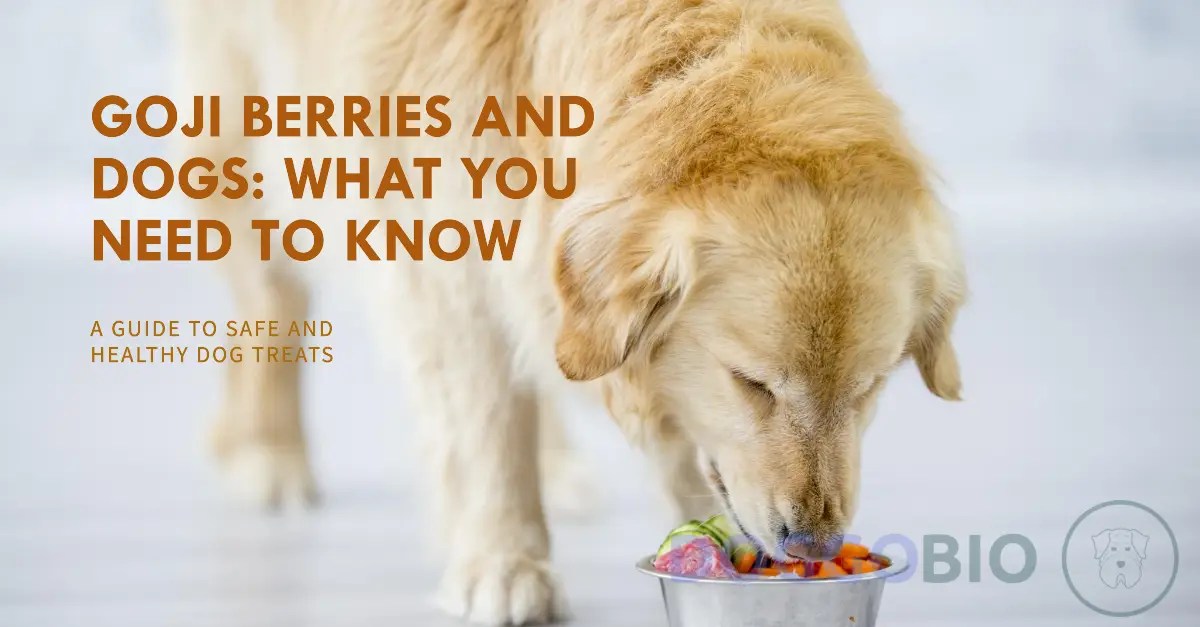 Can Dogs Eat Goji Berries? Unveiling Safety and Benefits 2024