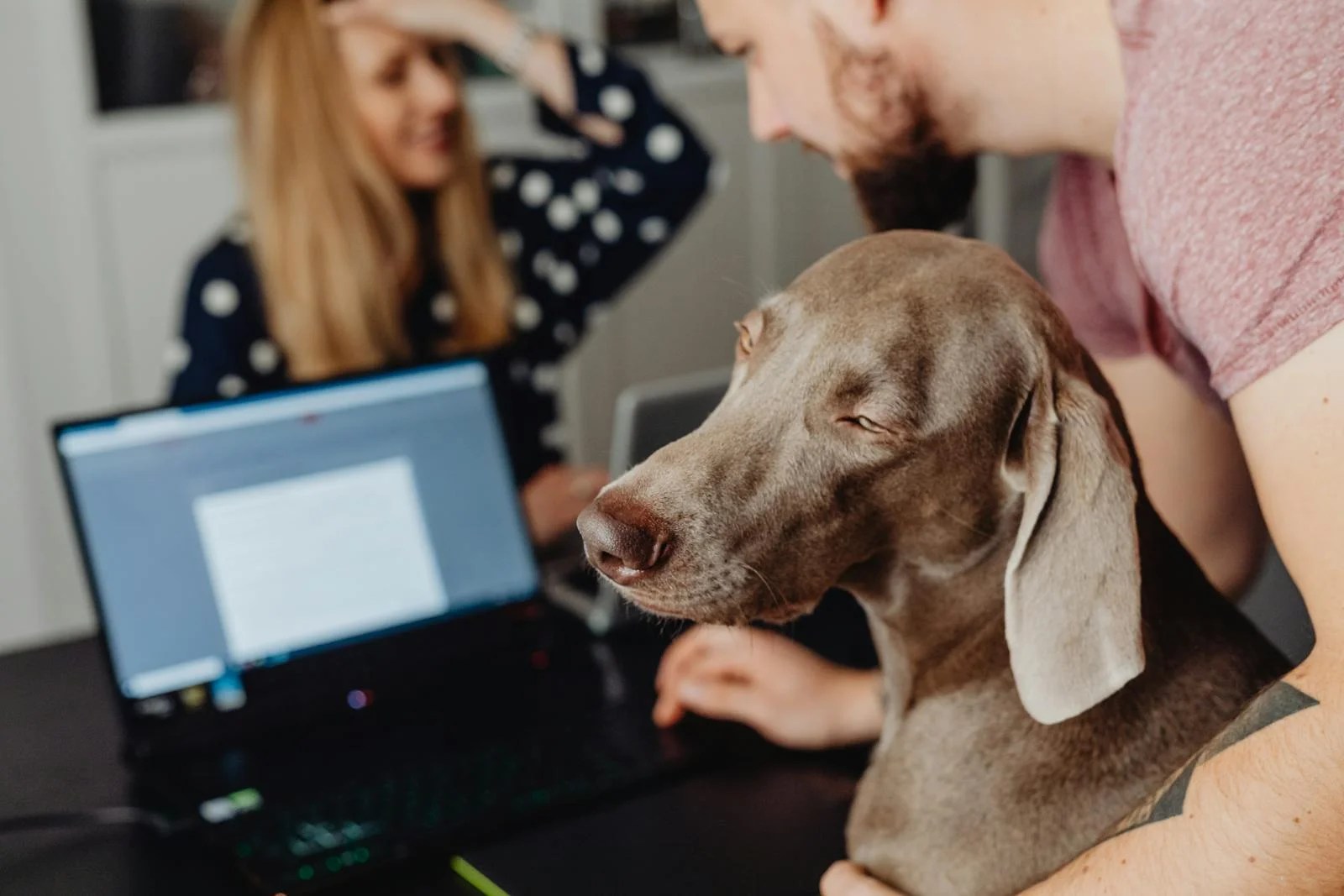 New Research Shows Dogs Mirror Their Owners’ Work Stress Doggodigest