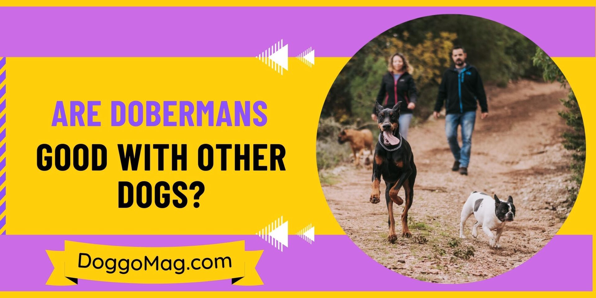 Are Dobermans Good With Other Dogs? How To Train Them? DoggoMag