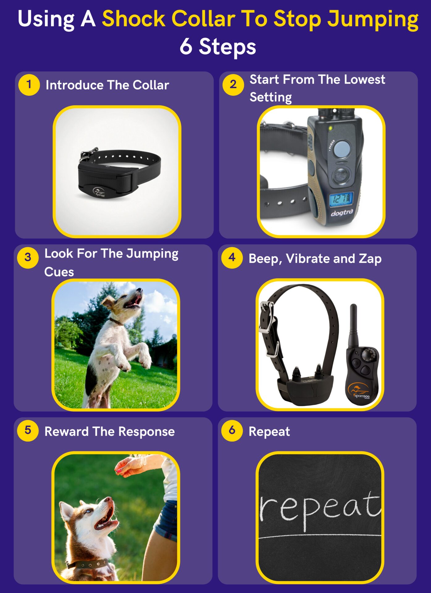 How to Use A Shock Collar To Stop Jumping? 6 Steps DoggoMag
