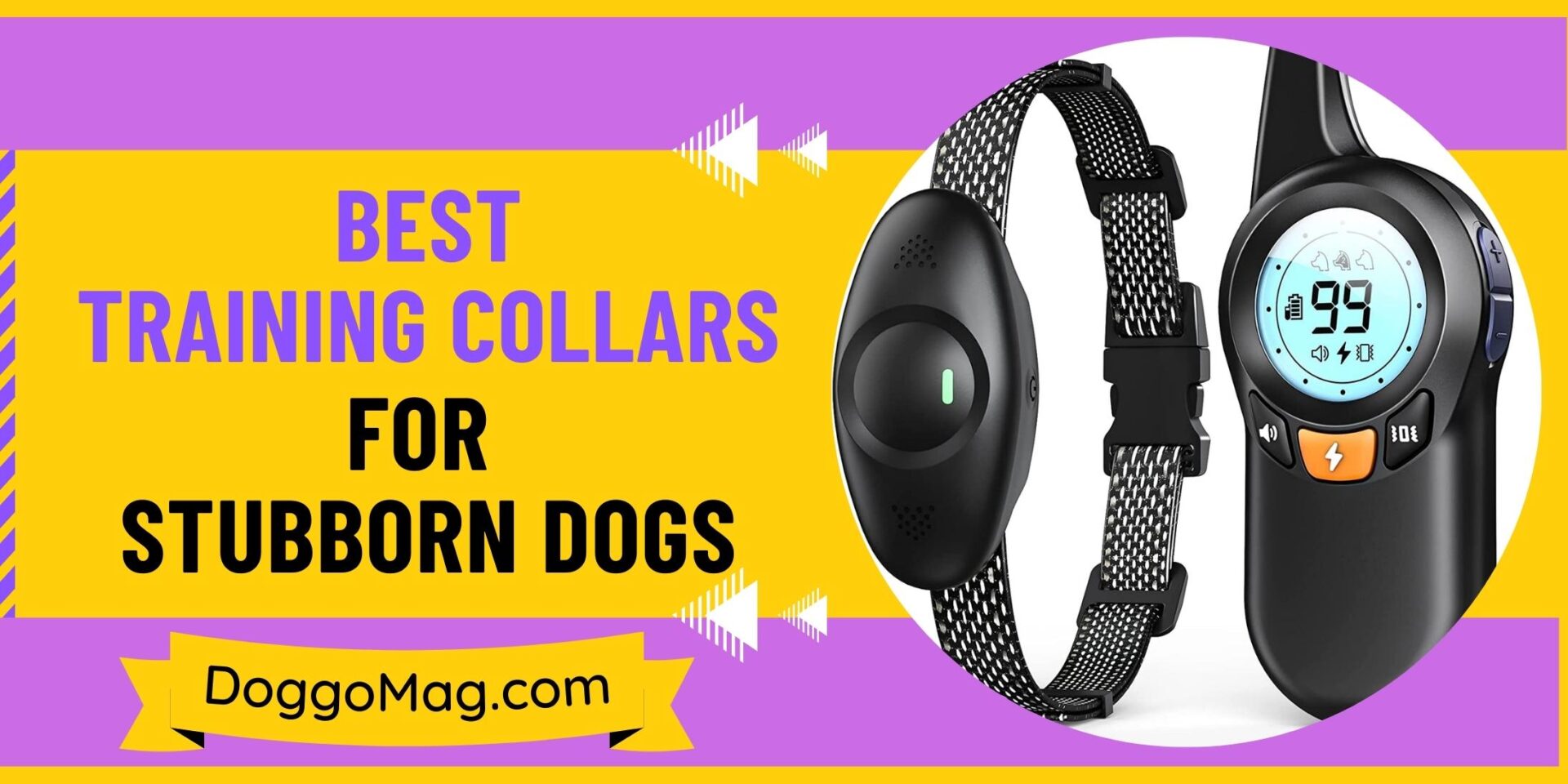 7 Best Collars for Dobermans DoggoMag