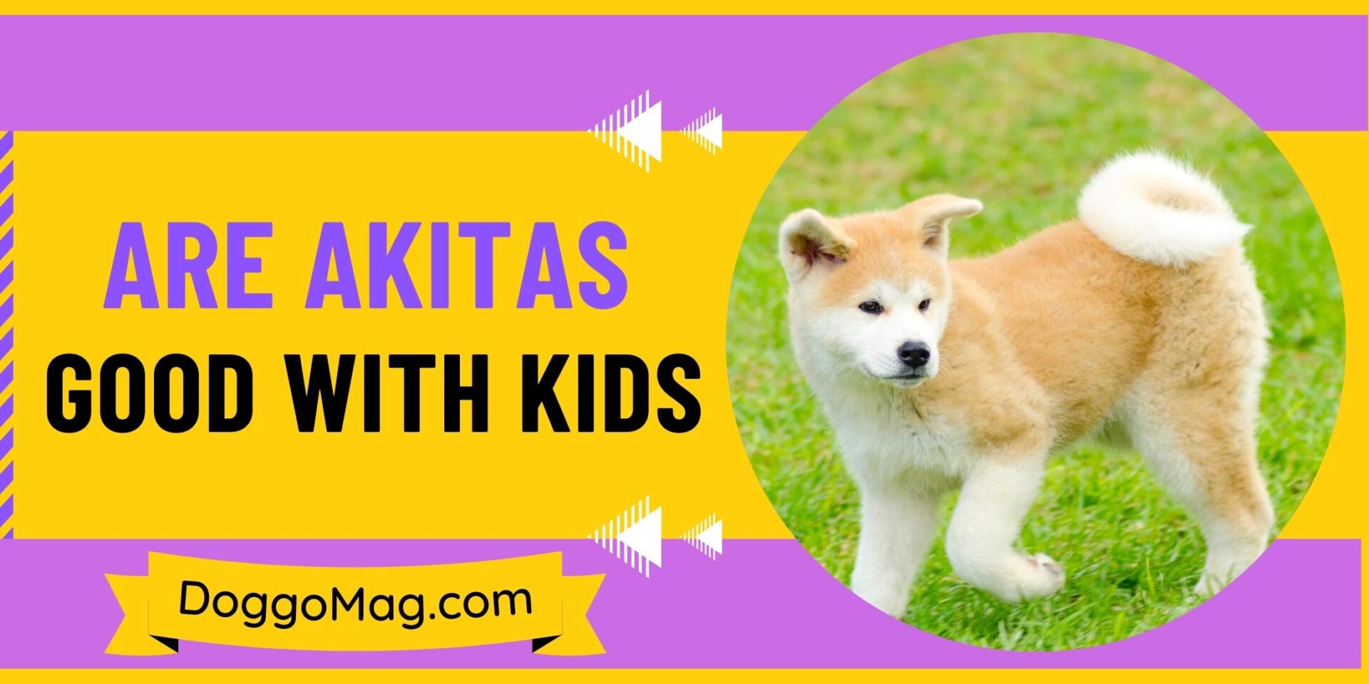 Are Akitas Good With Kids? 6 Insane Traits DoggoMag