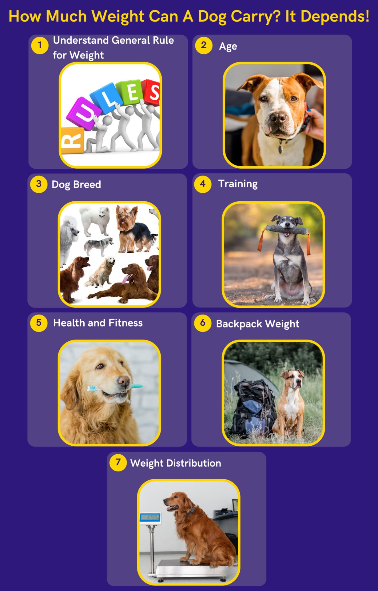 How Much Weight Can A Dog Carry? 7 Exclusive Factors DoggoMag