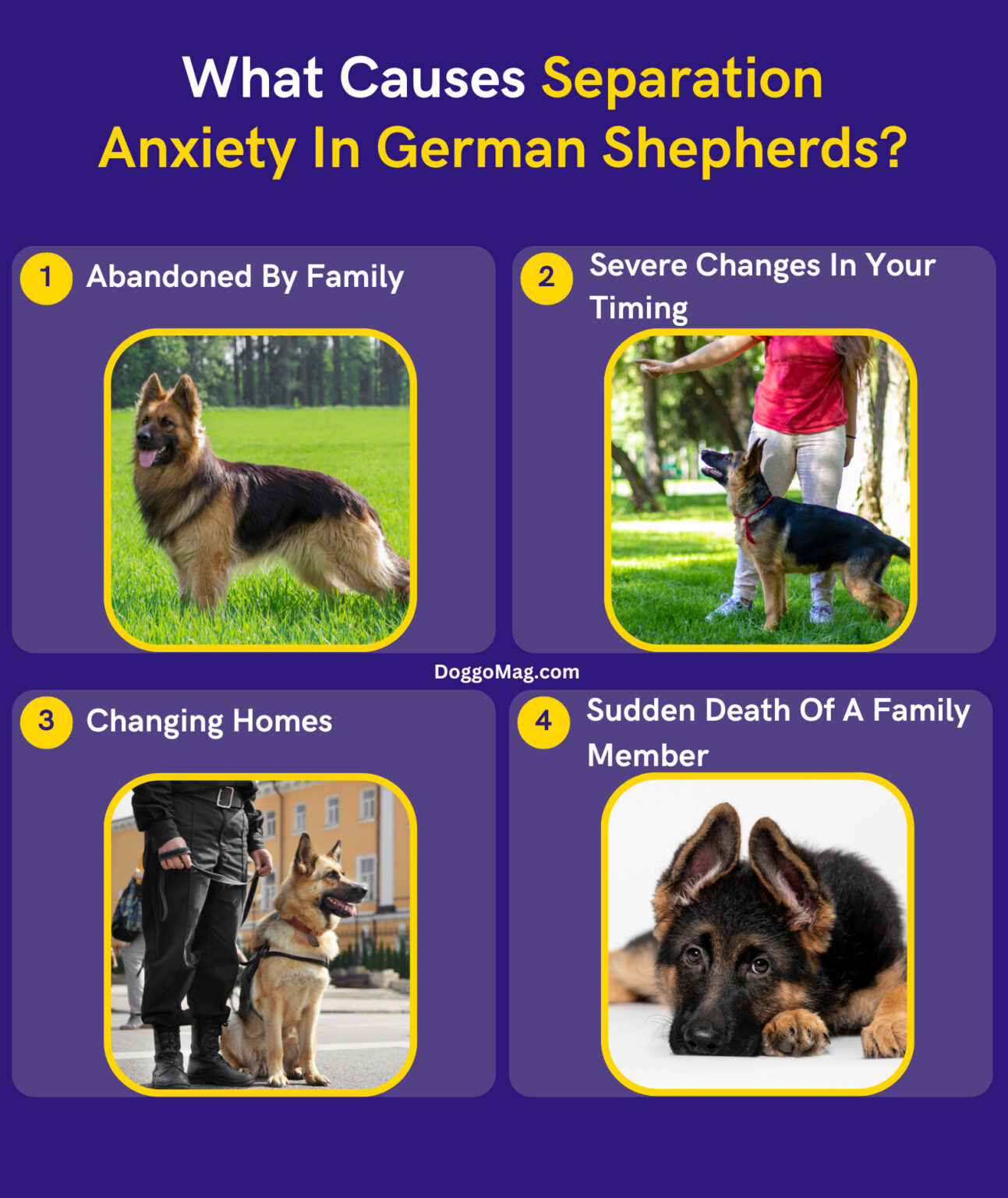 German Shepherd Separation Anxiety Symptoms, Reasons, and Remedies