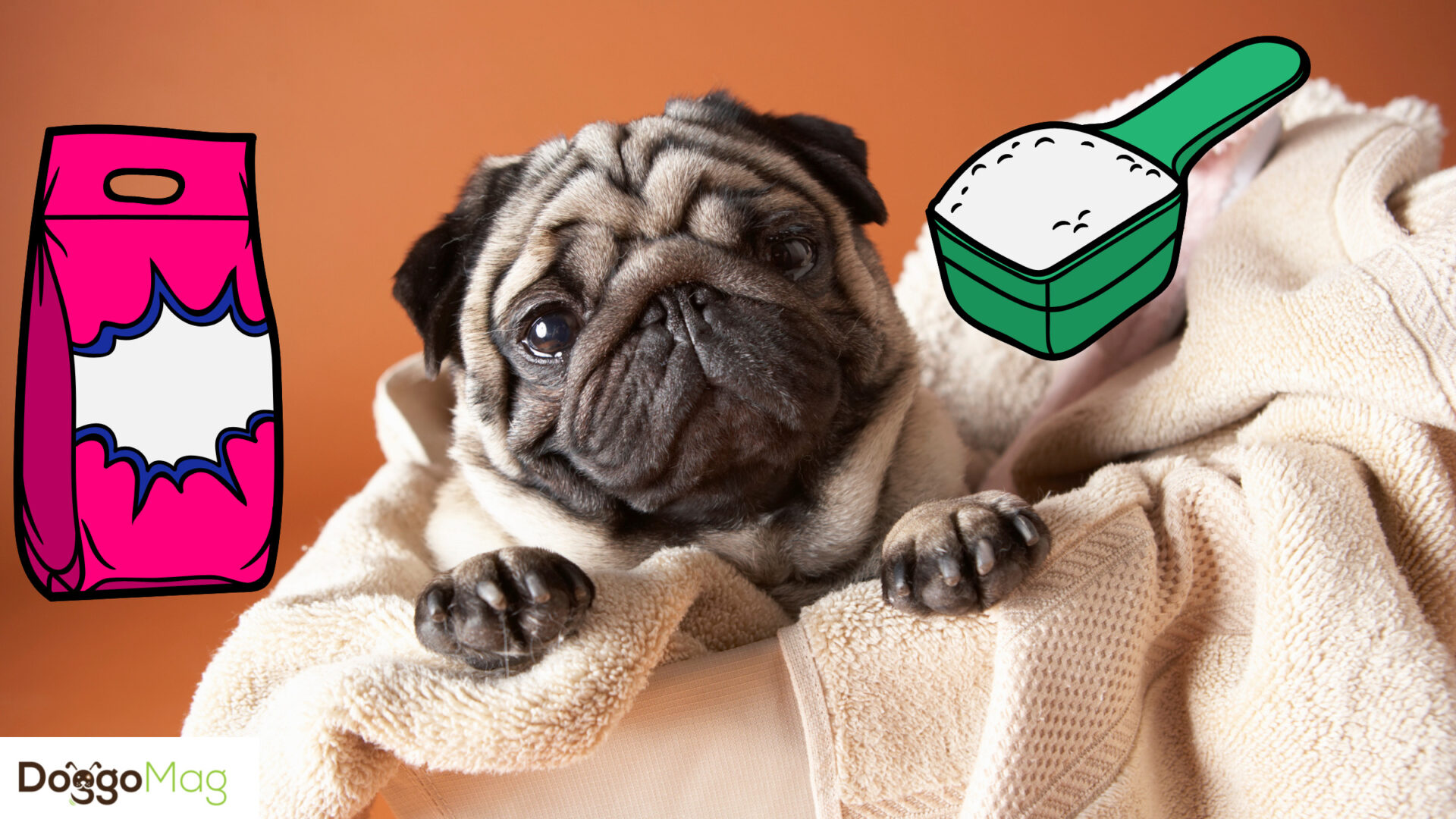 Can I Wash My Dog With Laundry Detergent? 9 Ingredients That Say No