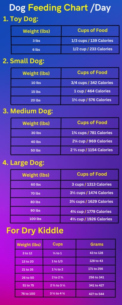 Dog Feeding Guide – Charts, Tips, And Expert Knowledge - DoggoMag