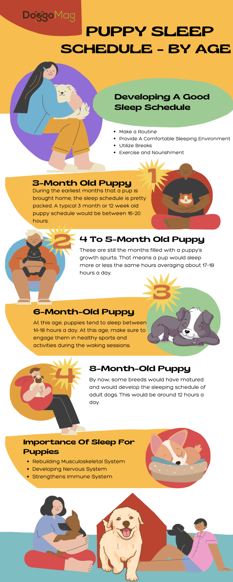 Do Puppies Grow In Their Sleep