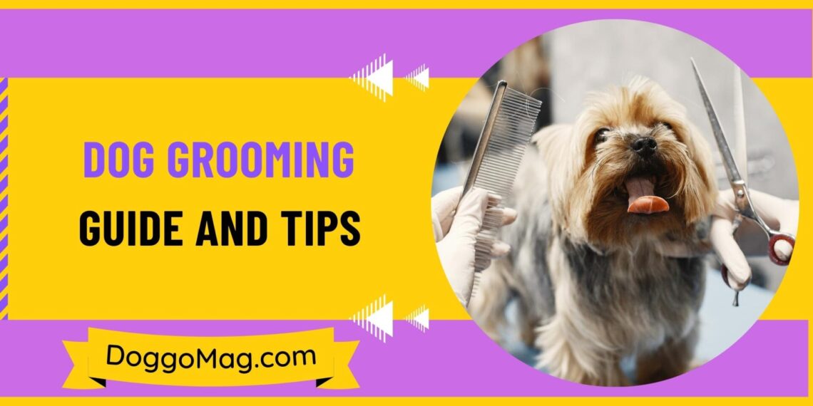 Dog Grooming Guide And Tips 7Step Formula DoggoMag