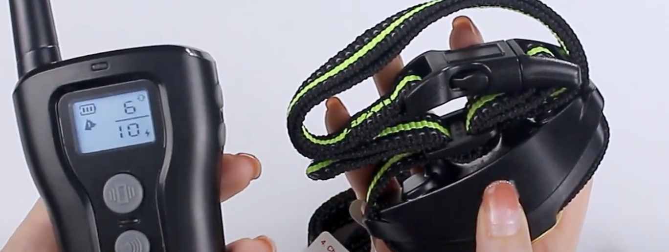 9 Best Training/Shock Collars for Great Danes [Oct 2023] DoggoMag