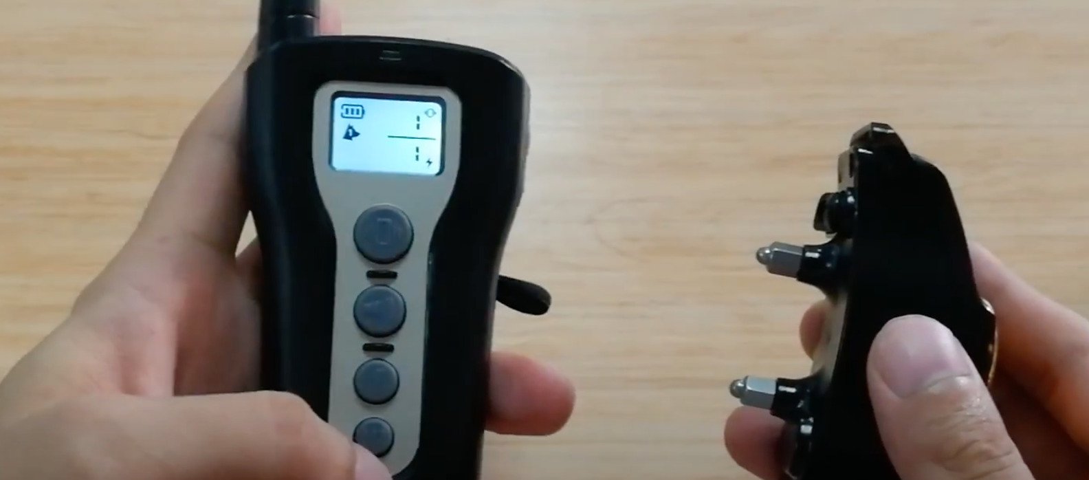 7 Best Shock Collars for Rottweilers [July 2023] DoggoMag